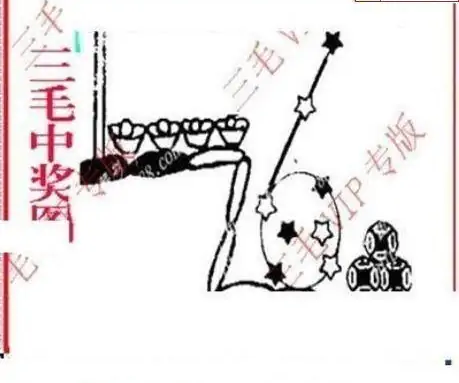 25264期: 三毛3D精品图谜