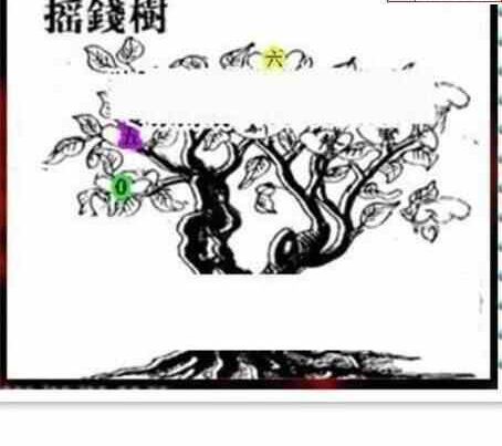 24091期: 三毛3D精品图谜