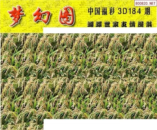 25184期: 3D蝴蝶世家蝴蝶彩图