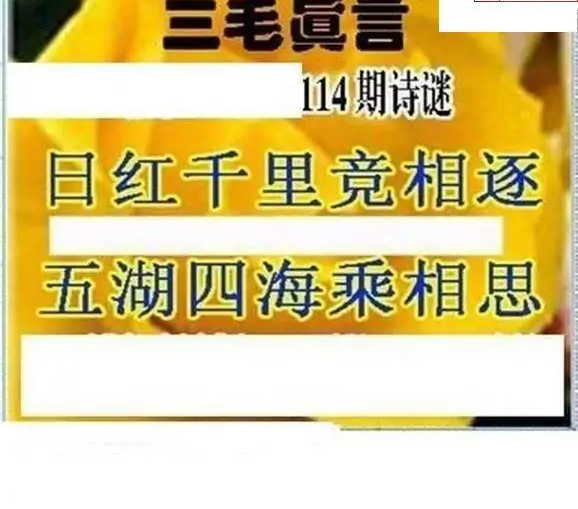 25114期: 三毛3D精品图谜