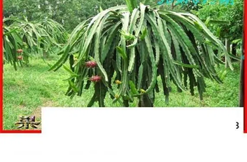 26095期: 白老3D杀码图版