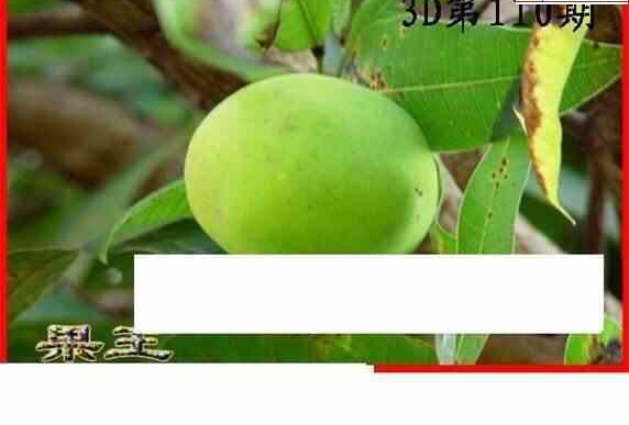 24110期: 白老3D杀码图版