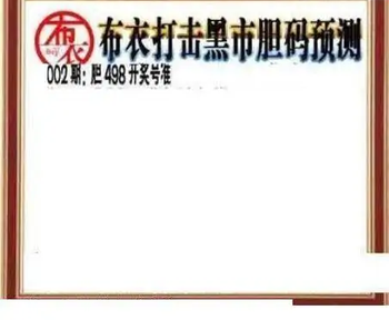 26002期: 三毛3D精品图谜