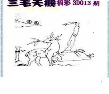 26013期: 三毛3D精品图谜