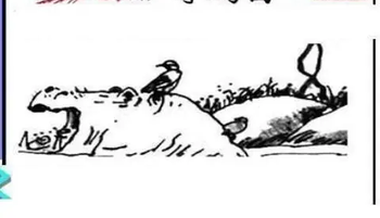 26008期: 三毛3D精品图谜