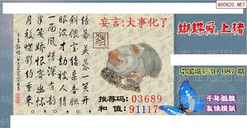 26087期: 3D蝴蝶世家蝴蝶彩图