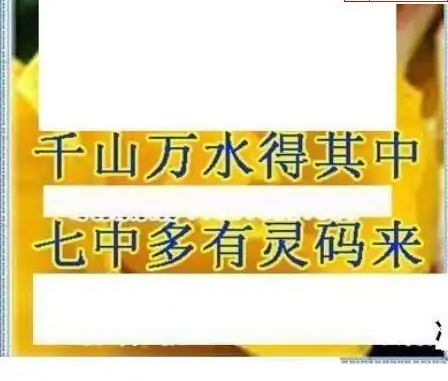 25064期: 三毛3D精品图谜