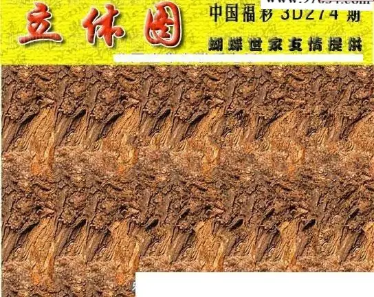 25274期: 3D蝴蝶世家蝴蝶彩图