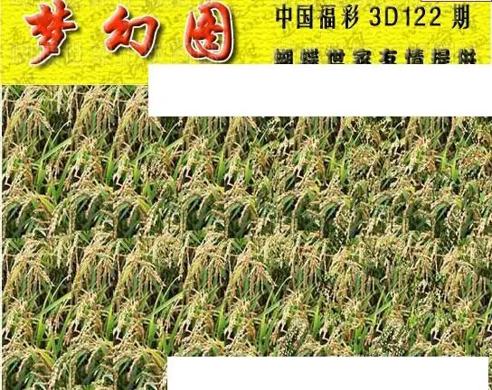 25122期: 3D蝴蝶世家蝴蝶彩图