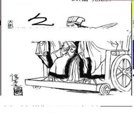 25247期: 三毛3D精品图谜