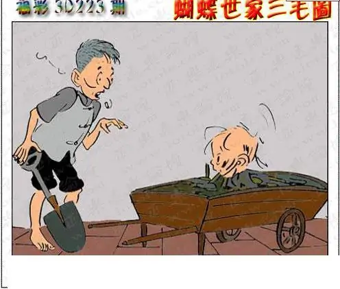 25223期: 3D蝴蝶世家蝴蝶彩图