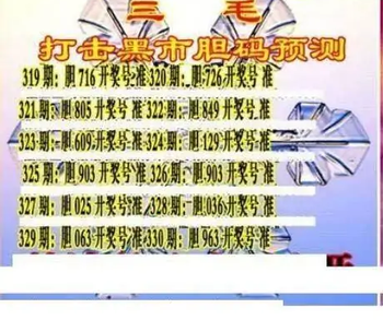 25330期: 三毛3D精品图谜