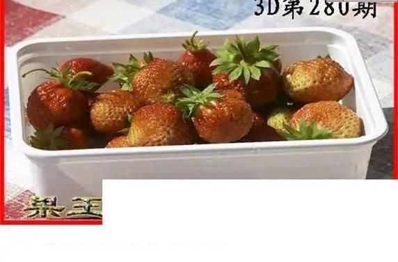 25280期: 白老3D杀码图版