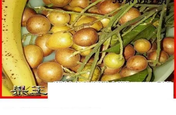 26004期: 白老3D杀码图版