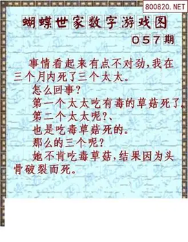 26057期: 3D蝴蝶世家蝴蝶彩图