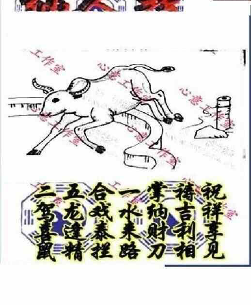 24120期: 三毛3D精品图谜