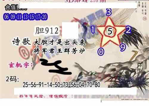 24218期: 白老3D杀码图版