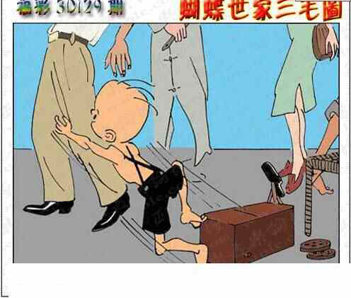 24129期: 3D蝴蝶世家蝴蝶彩图