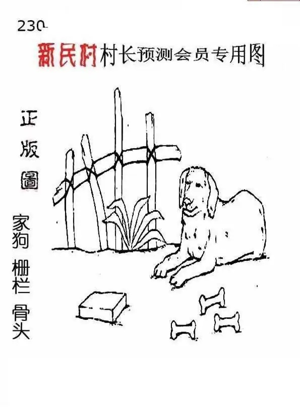 25230期: 老村长福彩3D天天图谜