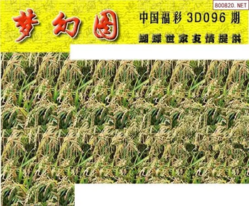 26096期: 3D蝴蝶世家蝴蝶彩图