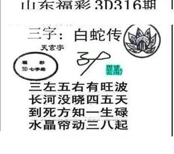 25316期: 三毛3D精品图谜