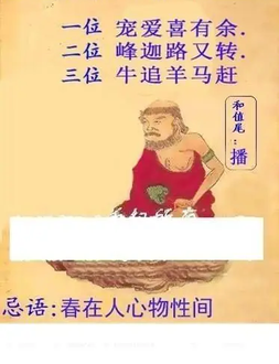 26014期: 白老3D杀码图版