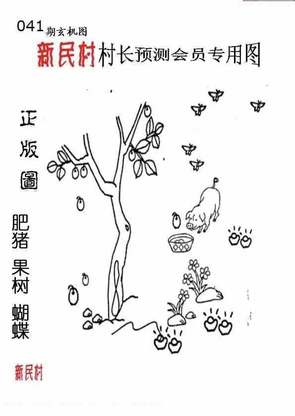 25041期: 老村长福彩3D天天图谜