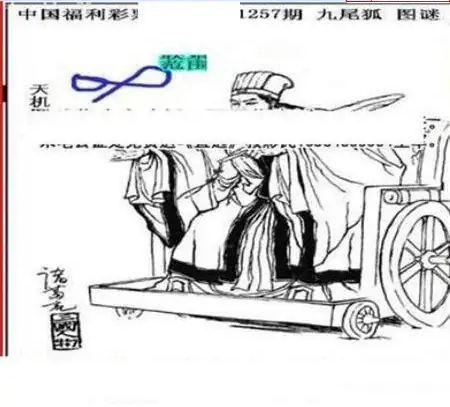 25257期: 三毛3D精品图谜