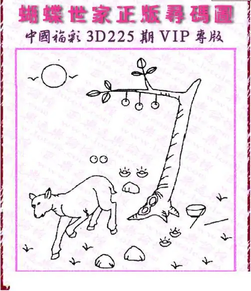 25225期: 3D蝴蝶世家蝴蝶彩图