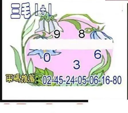 25095期: 三毛3D精品图谜