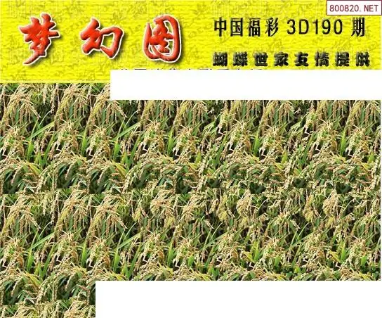 25190期: 3D蝴蝶世家蝴蝶彩图