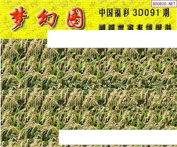 26091期: 3D蝴蝶世家蝴蝶彩图