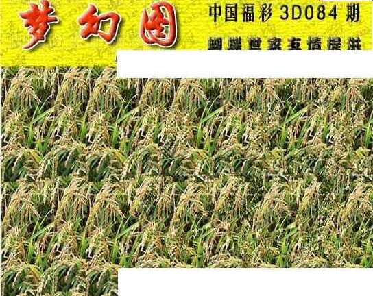 24084期: 3D蝴蝶世家蝴蝶彩图