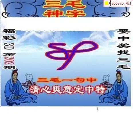 25202期: 三毛3D精品图谜