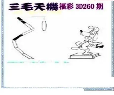 25260期: 三毛3D精品图谜