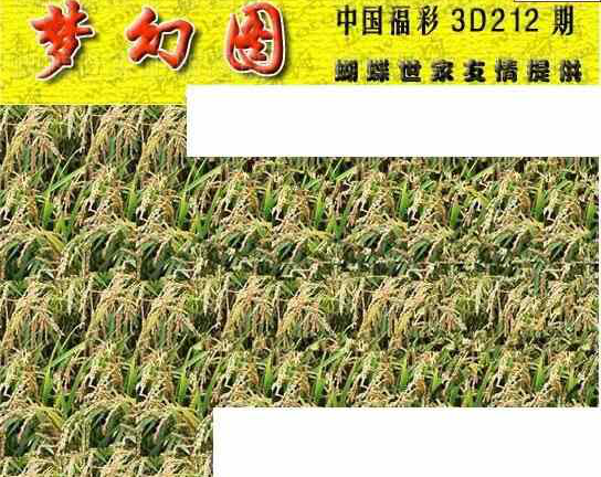 24212��: 3D�������Һ�����ͼ