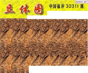 25311期: 3D蝴蝶世家蝴蝶彩图