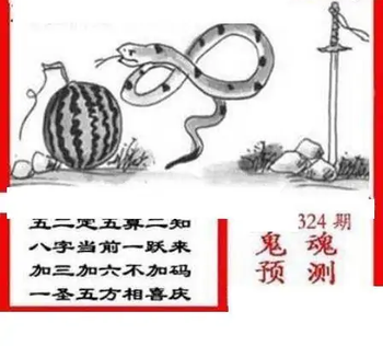 25324期: 三毛3D精品图谜