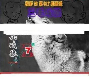 26017期: 三毛3D精品图谜