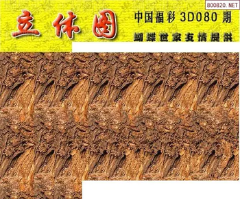 26080期: 3D蝴蝶世家蝴蝶彩图