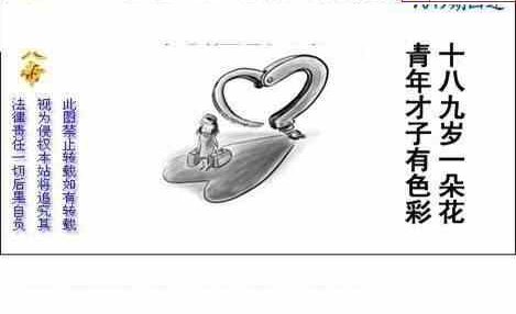 25049期: 白老3D杀码图版