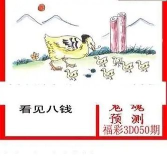 26050期: 白老3D杀码图版