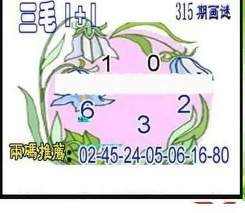 25315期: 三毛3D精品图谜