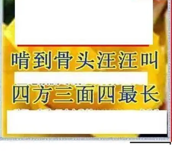 26008期: 三毛3D精品图谜