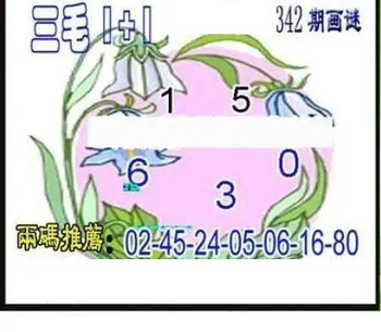 25342期: 三毛3D精品图谜