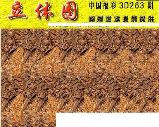 25263期: 3D蝴蝶世家蝴蝶彩图