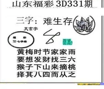 25331期: 三毛3D精品图谜