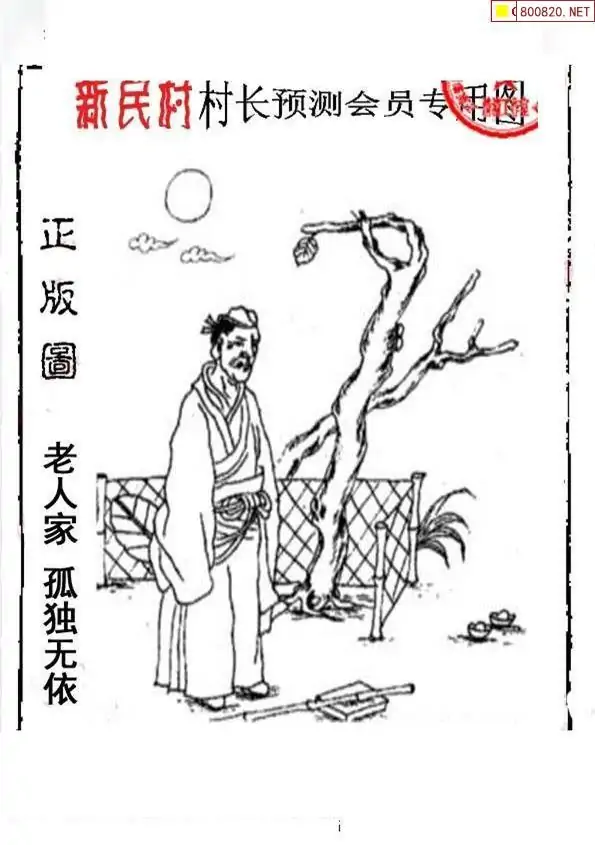 25195期: 老村长福彩3D天天图谜