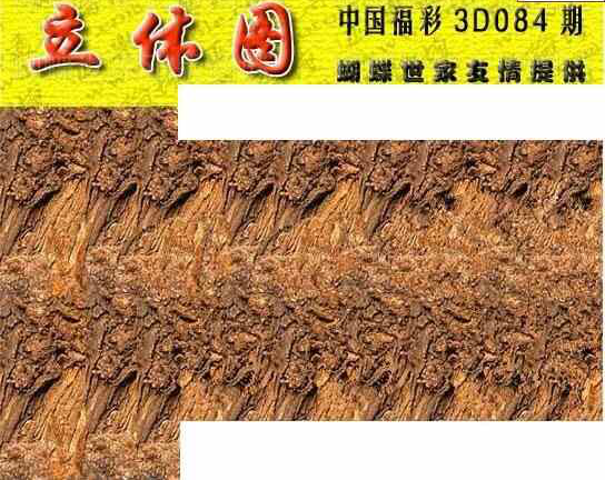 24084期: 3D蝴蝶世家蝴蝶彩图