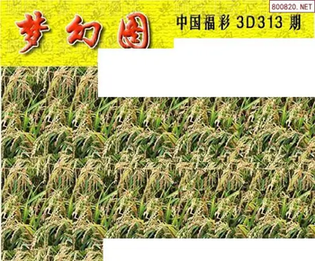 25313期: 3D蝴蝶世家蝴蝶彩图